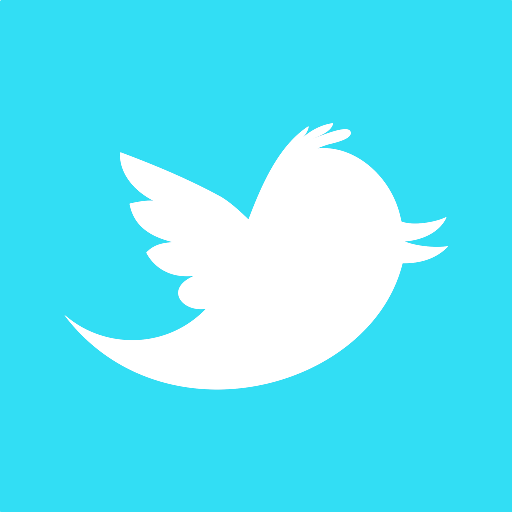 Seguimi su Twitter